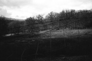 Paysage noir sur un ciel ombragé